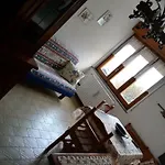 Pini Nani *